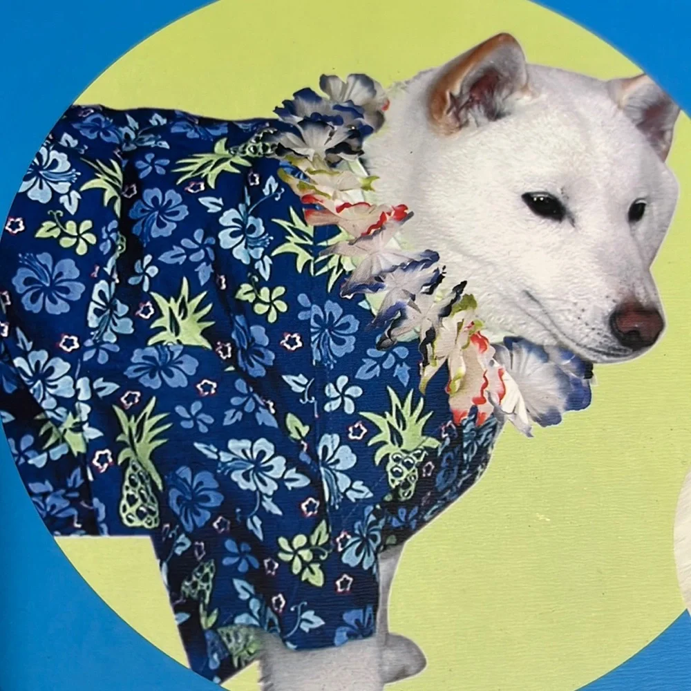 Boots & Barkley Canine Hawaiian Cotton Shirt with Lei Collar S